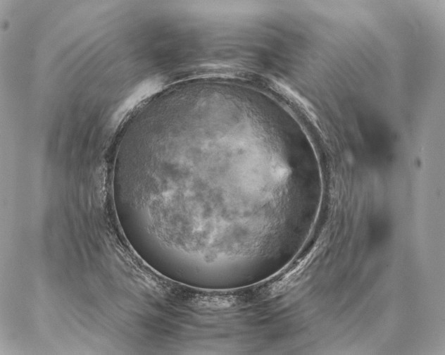 X0000086941411200704161417