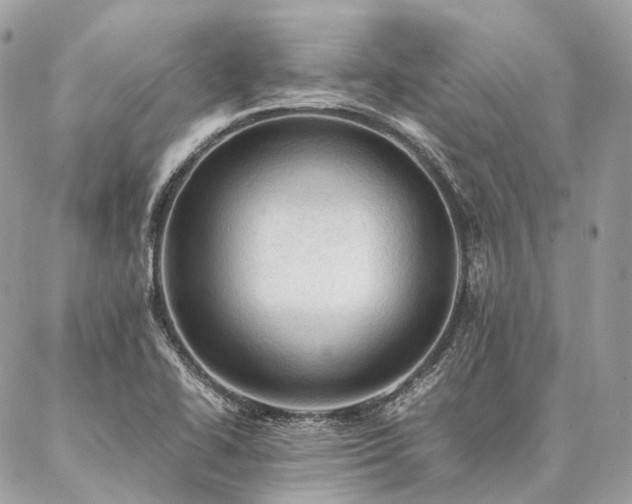 X0000086941414200704161417