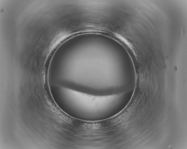 X0000086941415200704161417