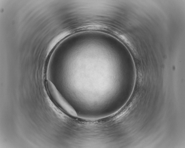 X0000086941426200704161417
