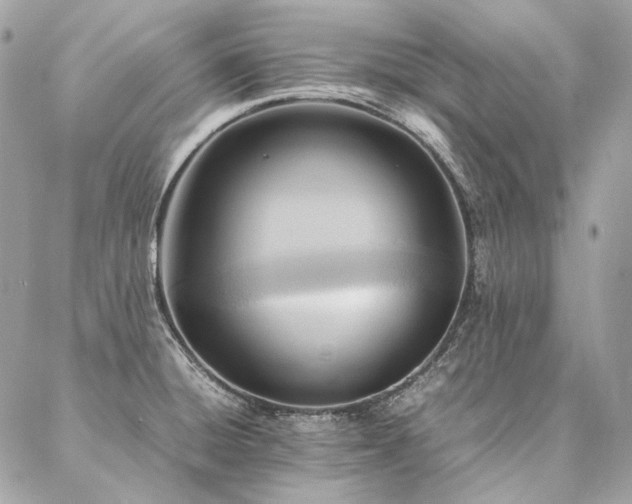 X0000086941428200704161417