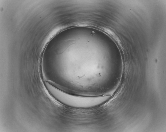 X0000086941429200704161417