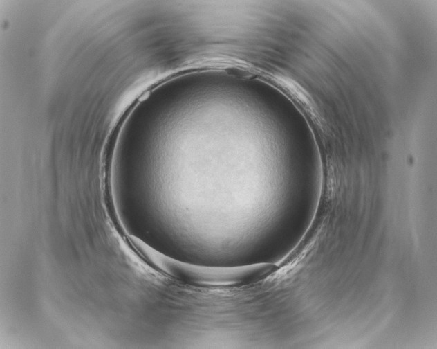 X0000086941430200704161417