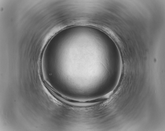 X0000086941432200704161418