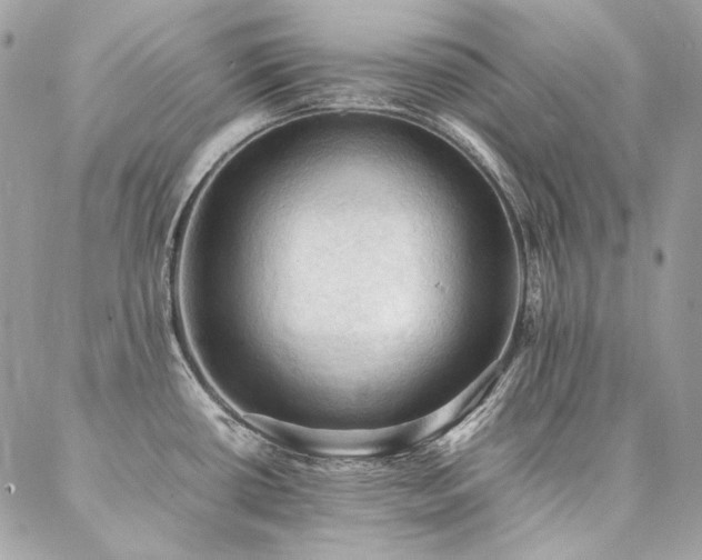 X0000086941434200704161418