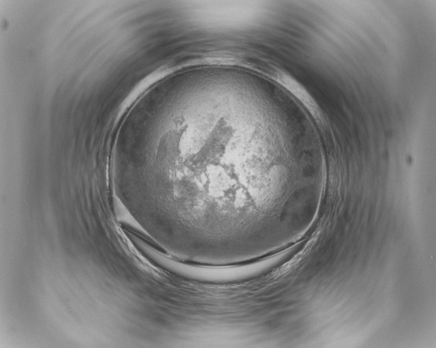 X0000086941436200704161418