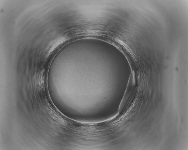 X0000086941450200704161417