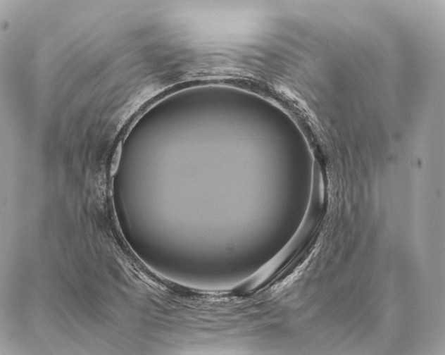 X0000086941457200704161417