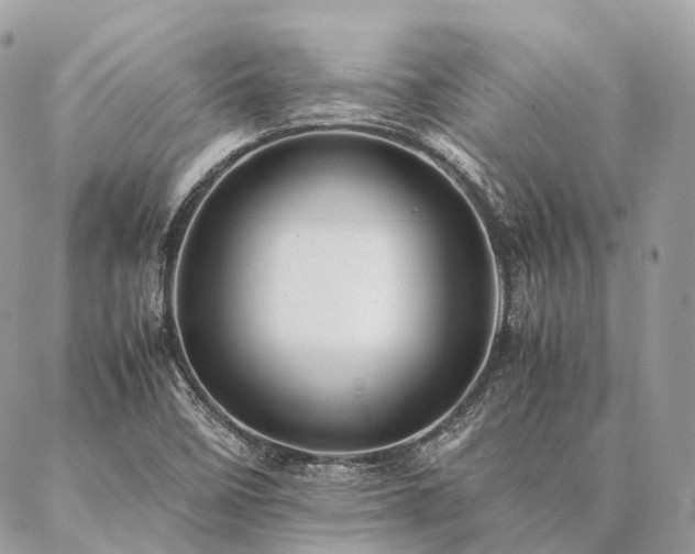 X0000086941458200704161417