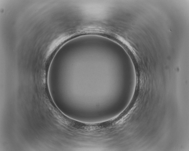 X0000086941461200704161417