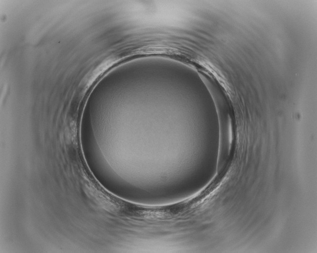X0000086941465200704161416