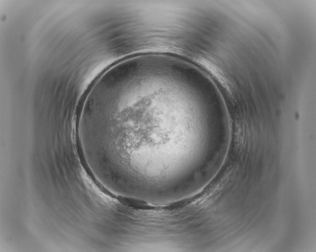 X0000086941468200704161416