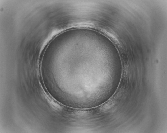 X0000086941470200704161416