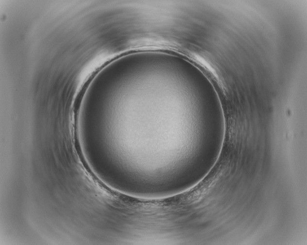X0000086941472200704161416