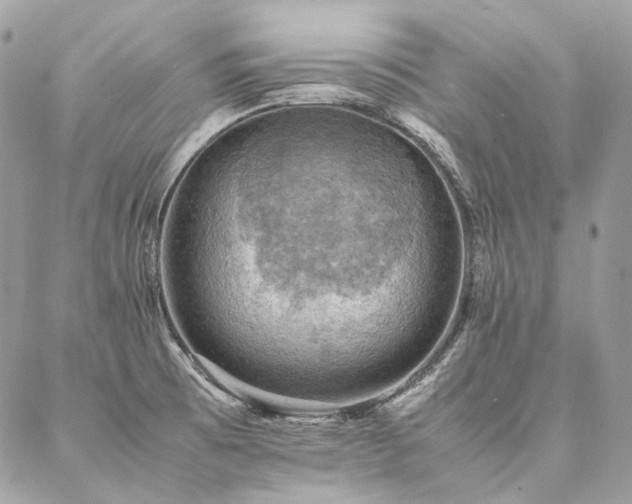 X0000086941473200704161416