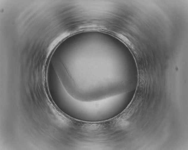 X0000086941474200704161416