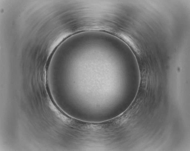 X0000086941476200704161416