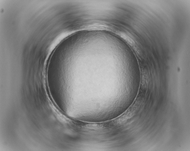 X0000086941478200704161416