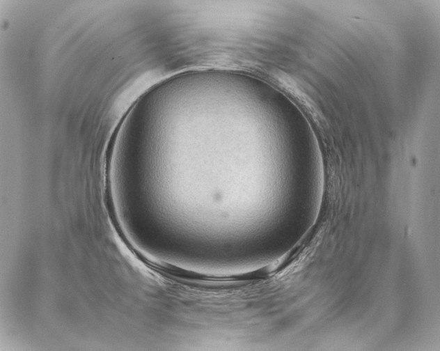 X0000086941479200704161416
