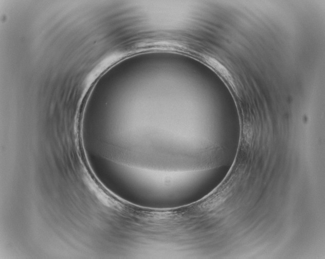 X0000086941482200704161416