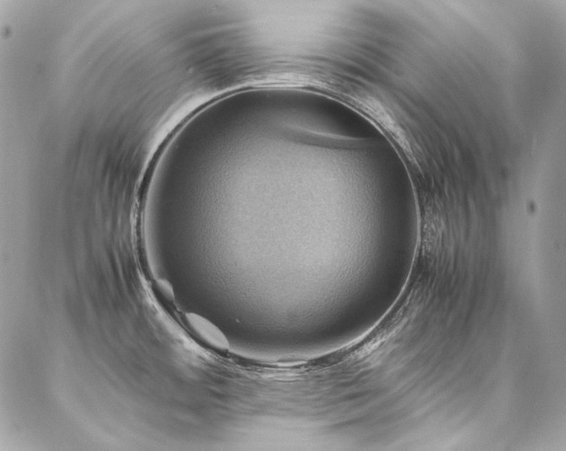 X0000086941484200704161416