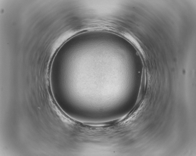 X0000086941485200704161416