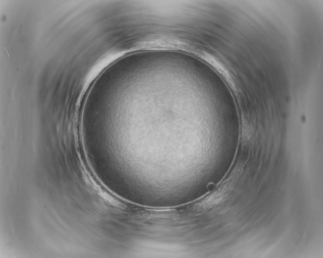 X0000086941486200704161416