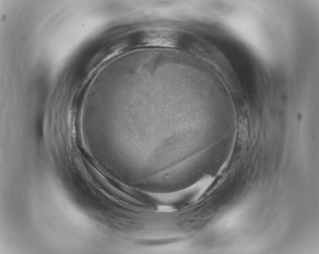 X0000086941487200704161416