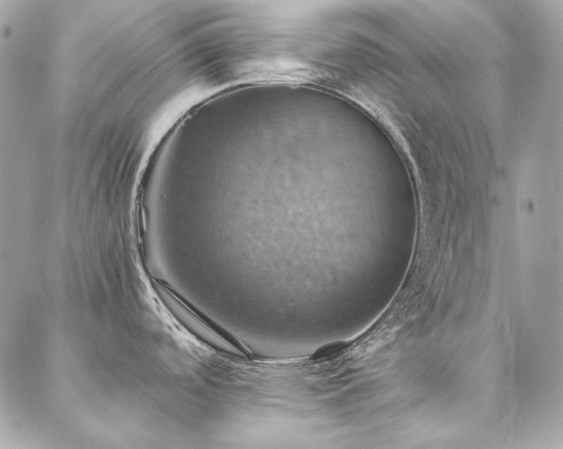 X0000086941488200704161416