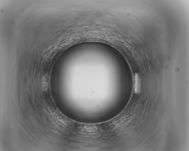 X0000086941491200704161415