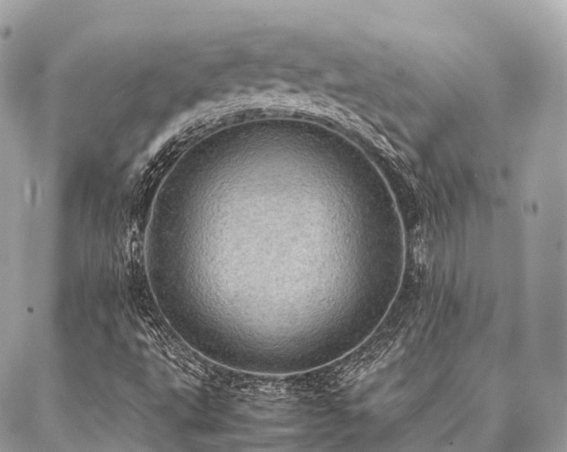 X0000086941495200704161415