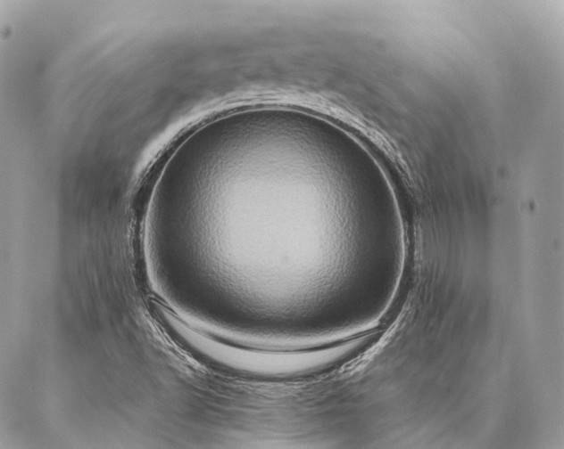 X0000086941502200704161416