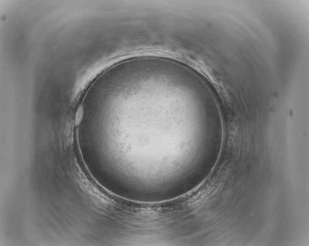X0000086941504200704161416