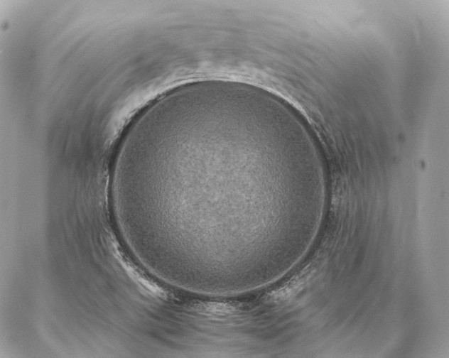 X0000086941507200704161416