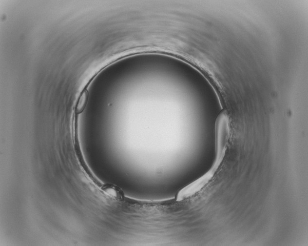 X0000086941516200704161416