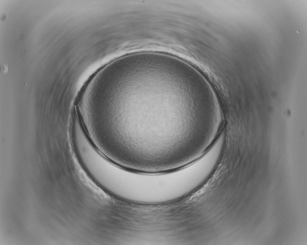 X0000086941518200704161416