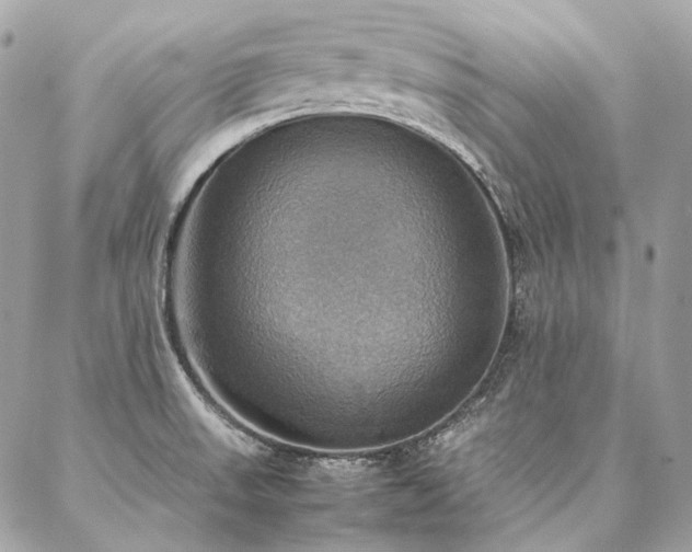X0000086941523200704161416