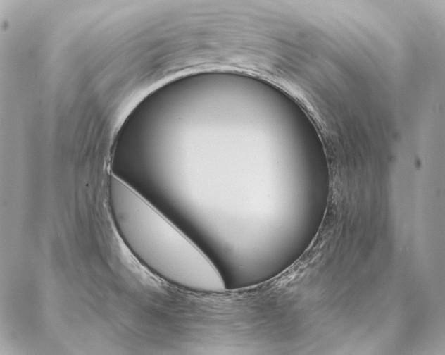 X0000086941524200704161416