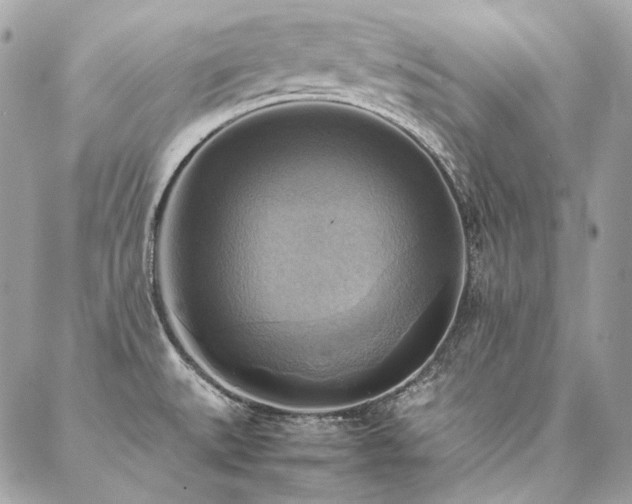 X0000086941527200704161416