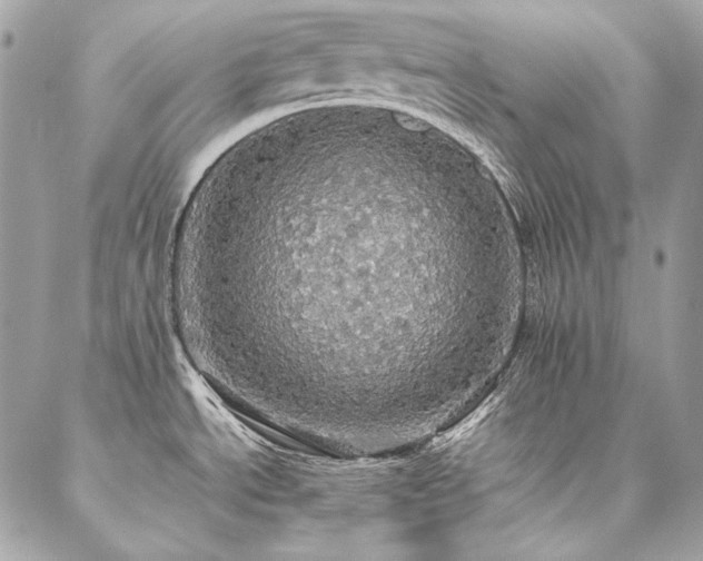 X0000086941534200704161416