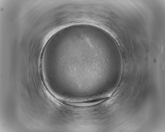 X0000086941535200704161416