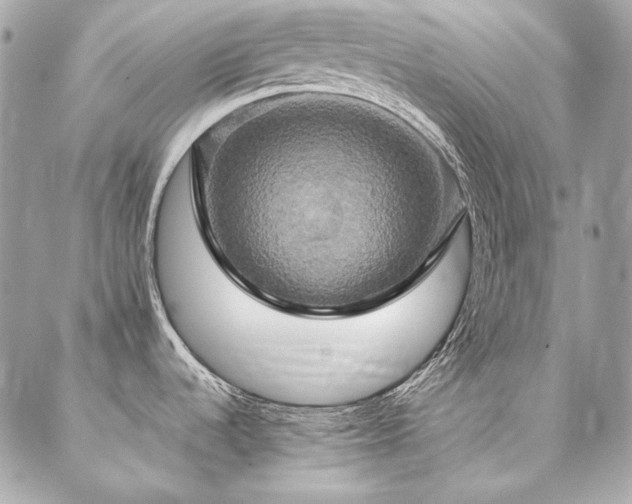 X0000086941536200704161416