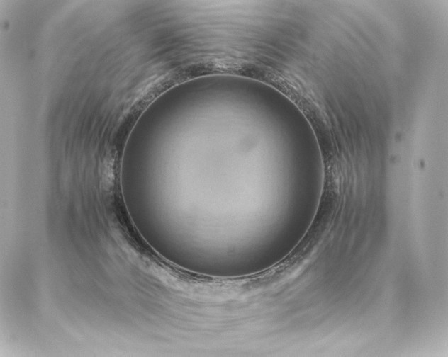 X0000086940032200704231409