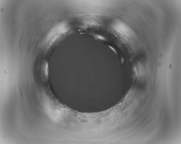 X0000086940041200704231408