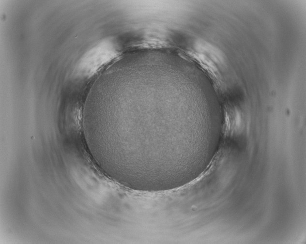 X0000086940045200704231408