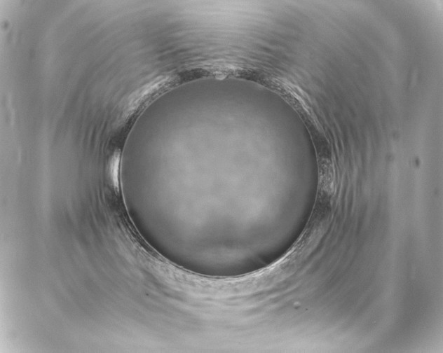 X0000086940047200704231408