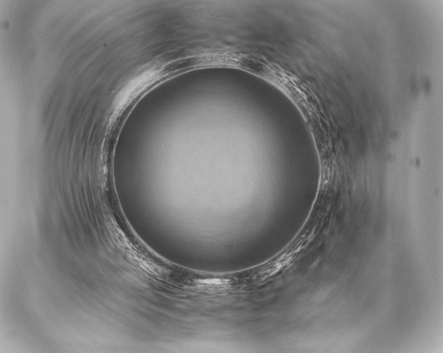 X0000086940053200704231408