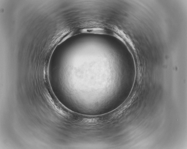 X0000086940057200704231408