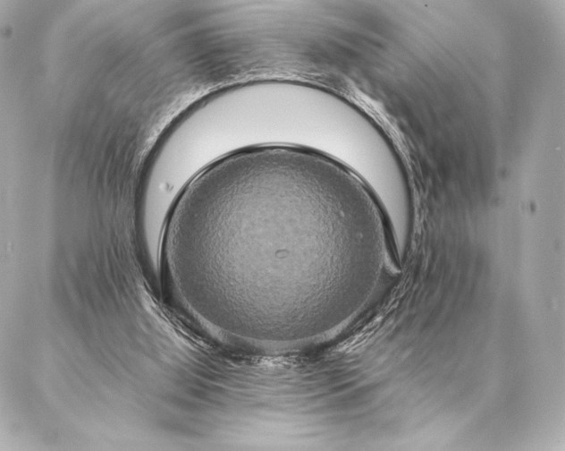 X0000086940060200704231408