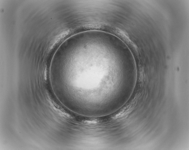 X0000086940068200704231408